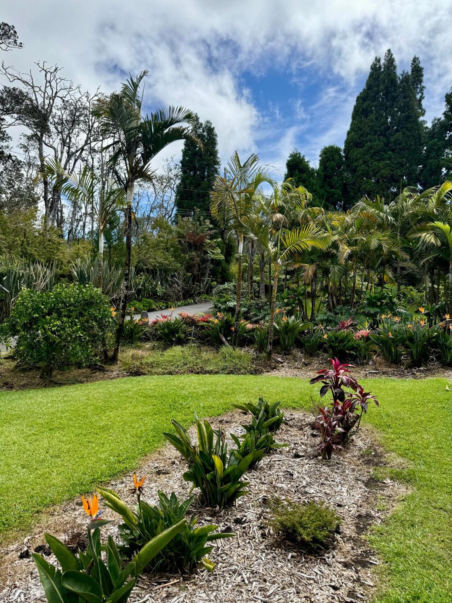Aloha Junction Bed And Breakfast -Minutes Away From Hawaii Volcanoes National Park Luaran gambar