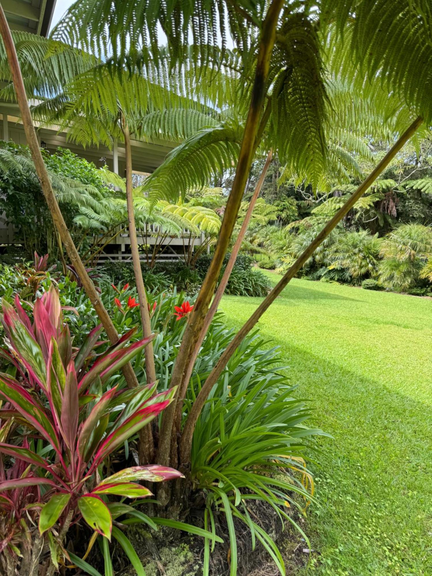 Aloha Junction Bed And Breakfast -Minutes Away From Hawaii Volcanoes National Park Luaran gambar